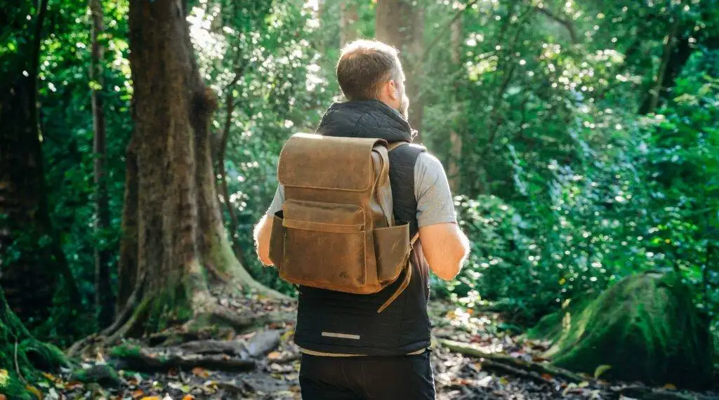 A man stands in a lush forest, wearing a backpack and gray shirt, looking towards the trees in dappled sunlight.